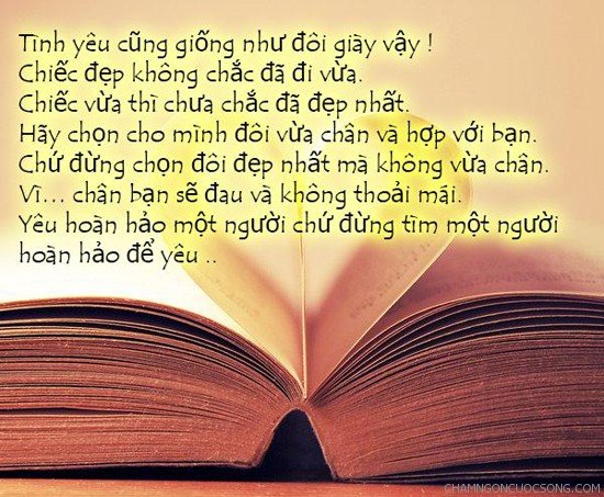 nhung-cau-triet-ly-hay-nhat-ve-tinh-yeu