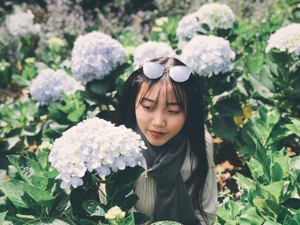 len-ngay-ke-hoach-cung-nguoi-thuong-den-hoa-son-dien-trang-nghi-duong-dip-83