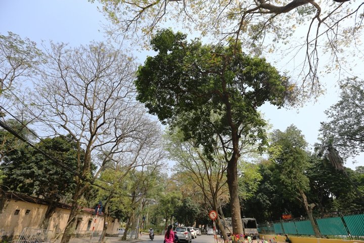 ngo-ngang-ha-noi-thang-ba