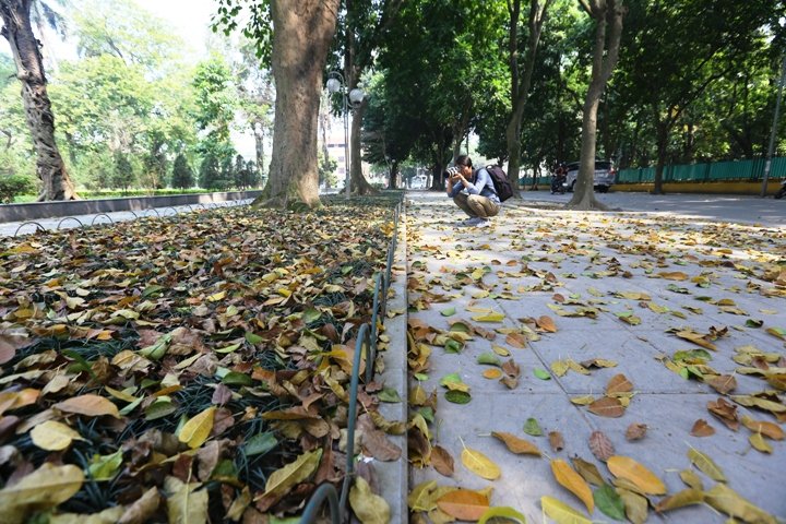 ngo-ngang-ha-noi-thang-ba