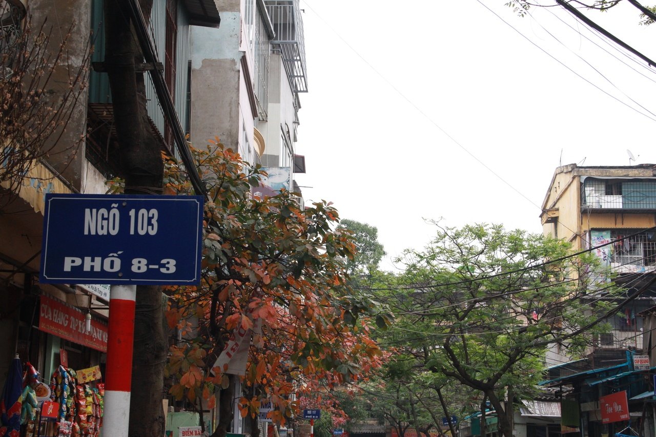 ghe-tham-con-pho-dac-biet-mang-ten-ngay-quoc-te-phu-nu-pho-83