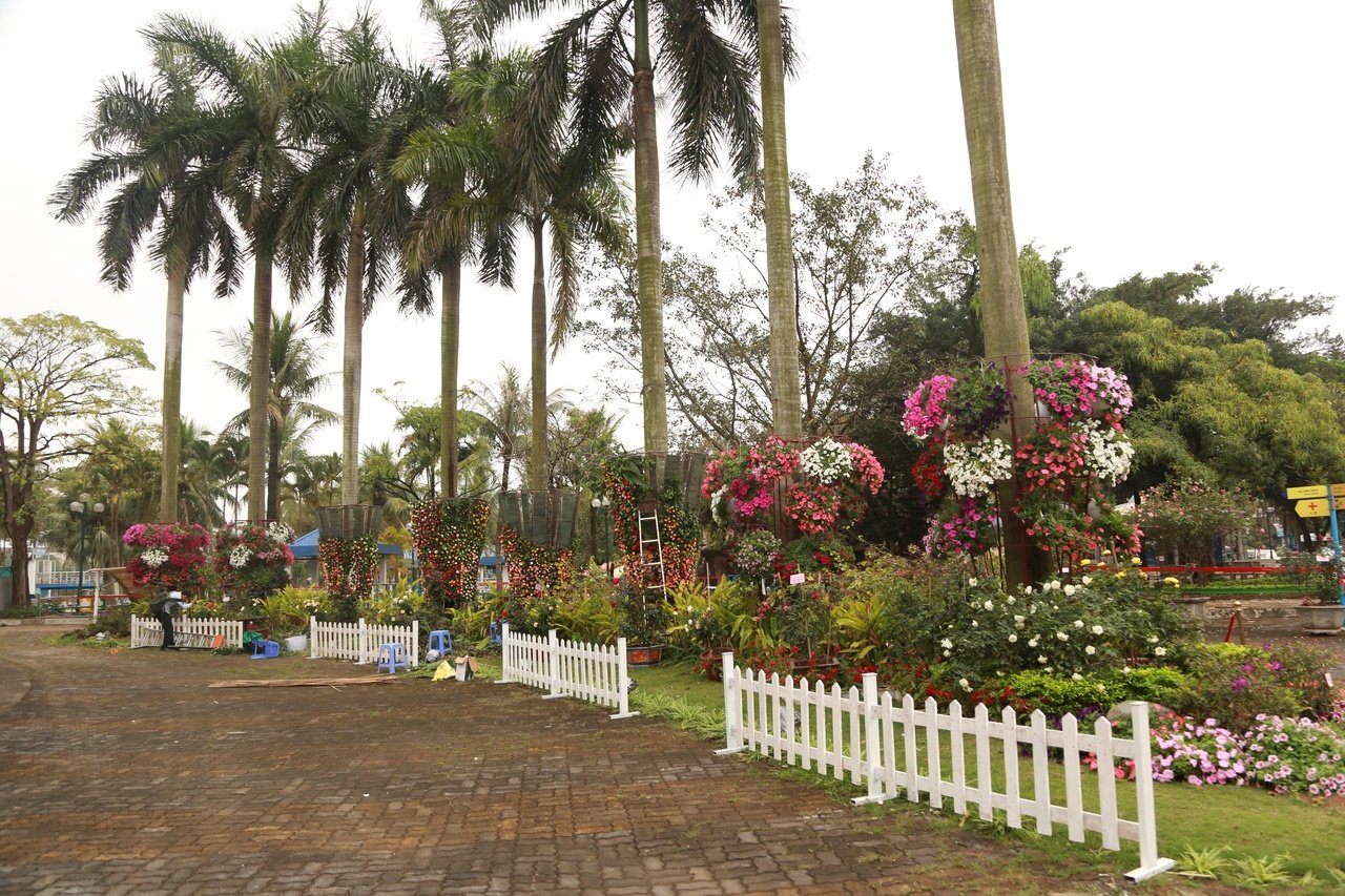 le-hoi-hoa-hong
