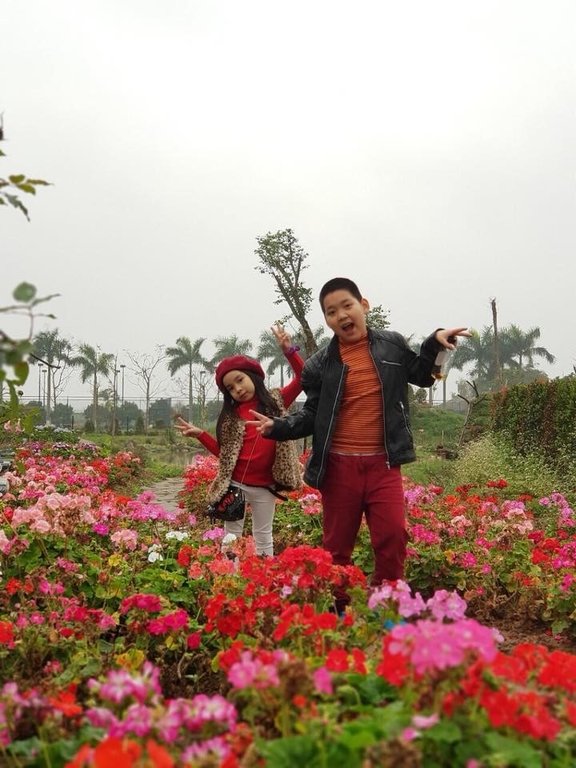 tang-ve-tham-quan-cong-vien-me-cung-va-dao-hoa-hong-cho-chi-em-nhan-ngay-83