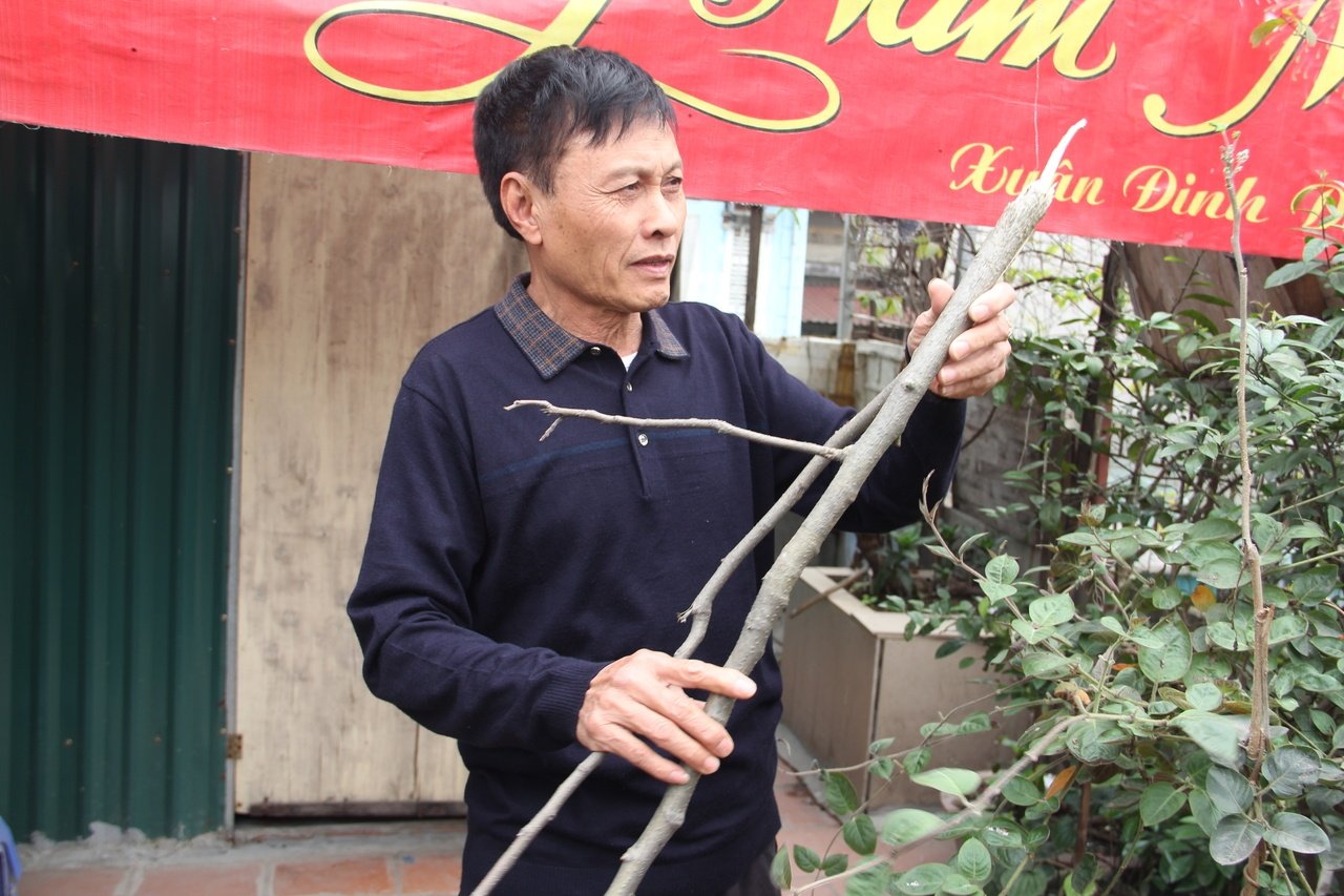 ha-noi-xuat-hien-con-khi-hoang-quay-pha-lam-nao-loan-khu-dan-cu
