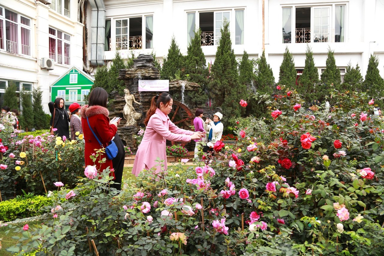 le-hoi-hoa