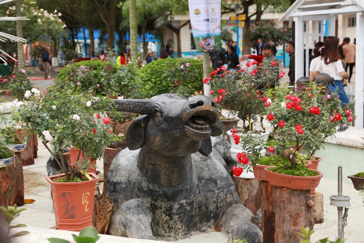 le-hoi-hoa