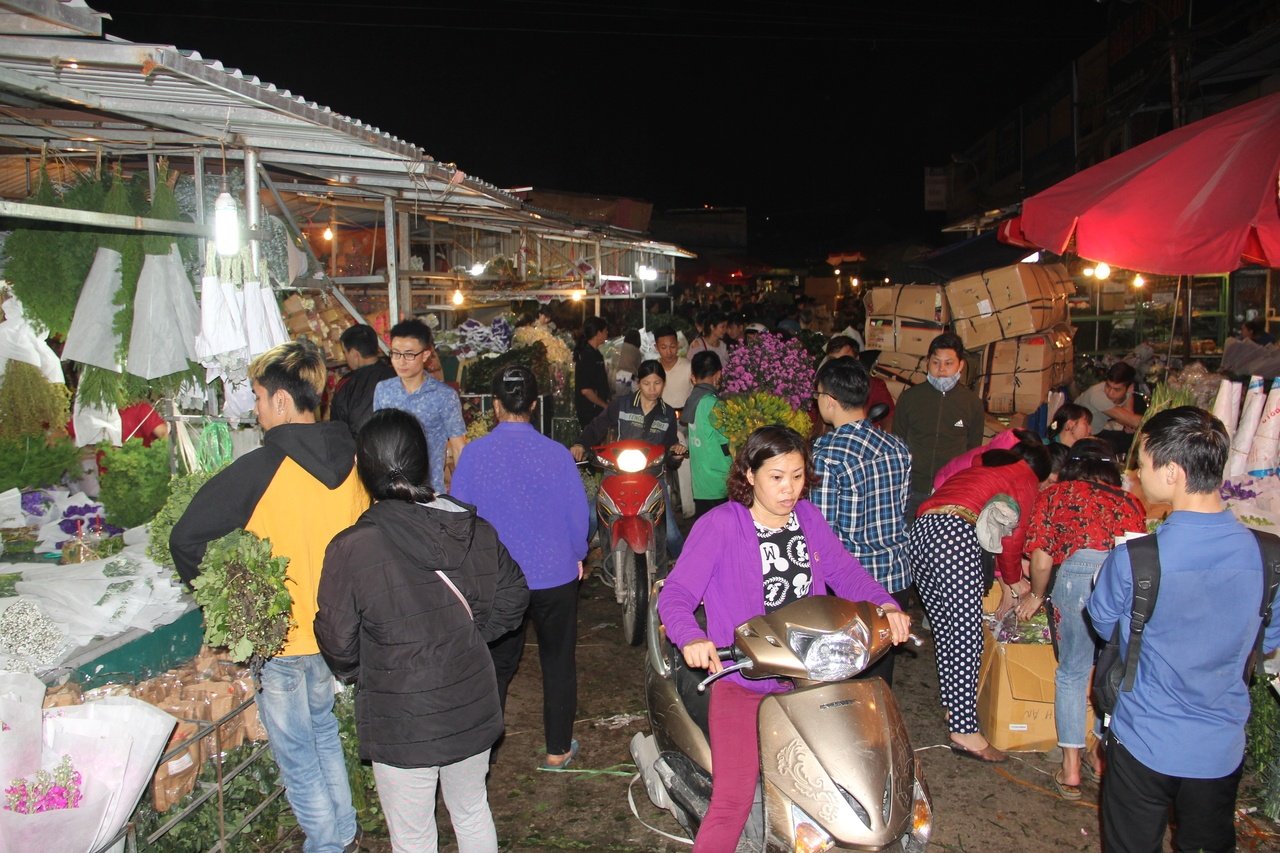 phai-manh