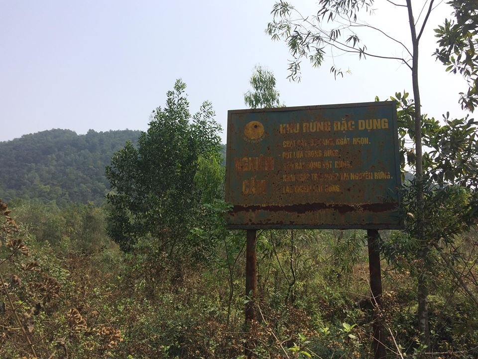 ha-noi-hang-ngan-tan-rac-thai-doi-lot-dat-mun-lo-thien-giua-rung-dac-dung