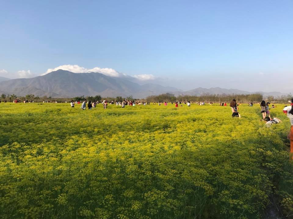 dan-mang-suc-soi-truy-tim-nhom-du-khach-pha-hoai-canh-dong-thia-la-o-ninh-thuan