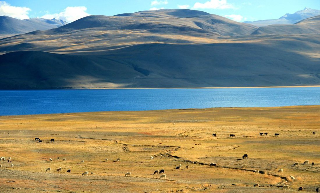 lang-du-muc-korzok-binh-yen-ben-ho-tso-moriri