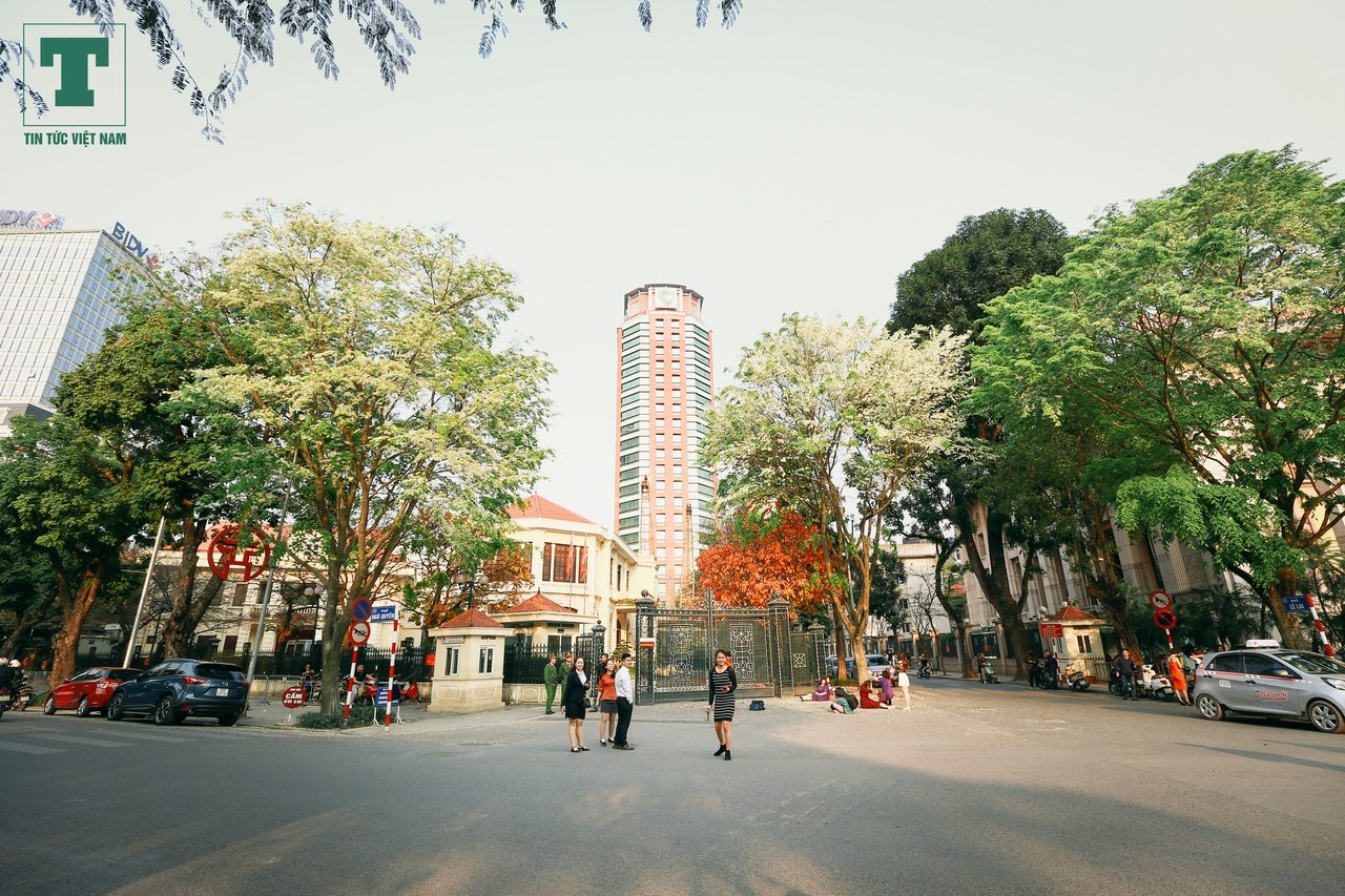 mua-hoa-sua