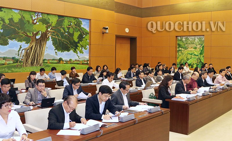 Tin tức