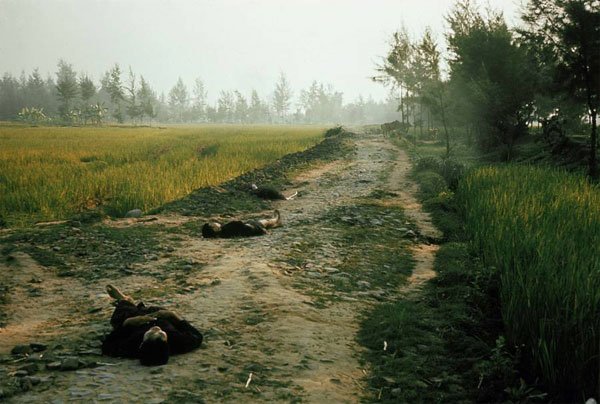 Quá khứ ám ảnh về vụ thảm sát Mỹ Lai cách đây 50 năm