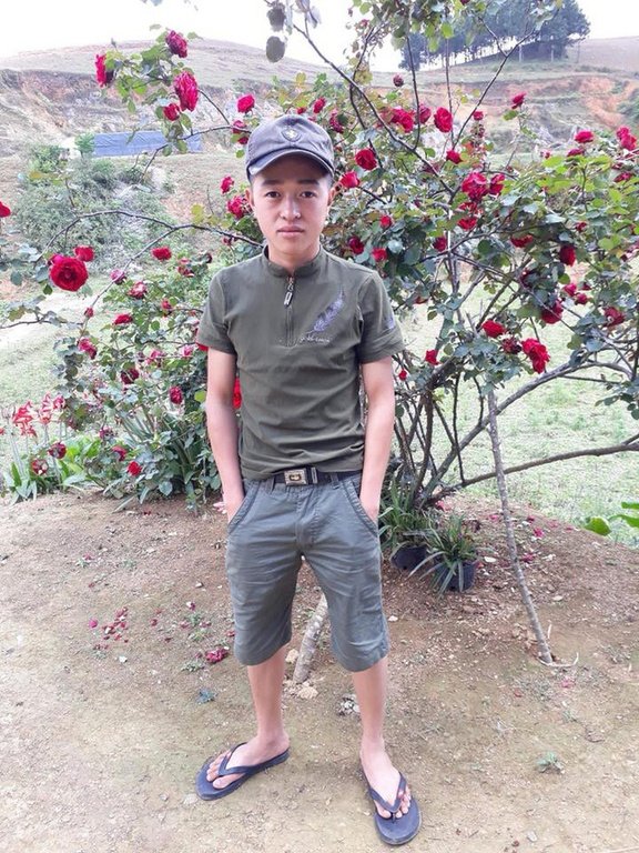 chu-vuon-hong-o-ha-noi-bi-dan-mang-nghi-ngo-trom-cay-hoa-hong-quy-cua-cau-be-dan-toc-vi-co-xe-ban-tai-mau-do