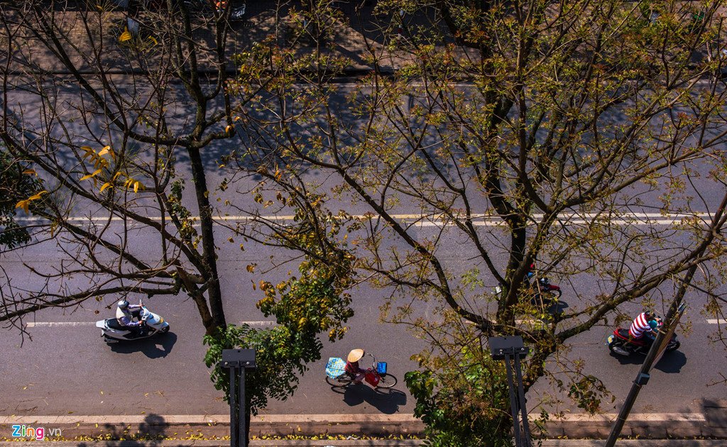 Những khoảnh khắc giao mùa lãng mạn ở cố đô Huế