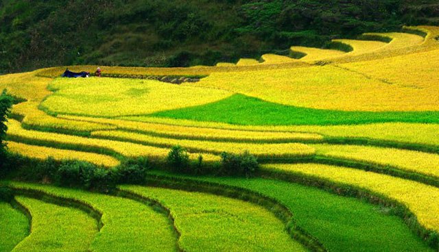 Check-in 6 địa điểm nhất định phải tới đi khi du lịch ở Hà Giang