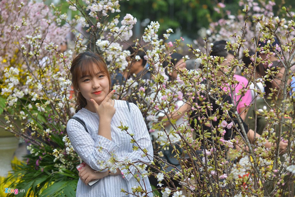 Lễ hội hoa anh đào bên hồ Gươm đông nghẹt du khách