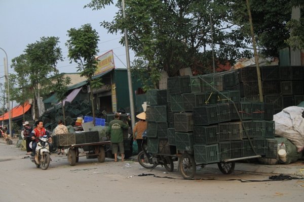 ha-noi-nguy-co-hoa-hoan-ca-tai-lang-dong-nat