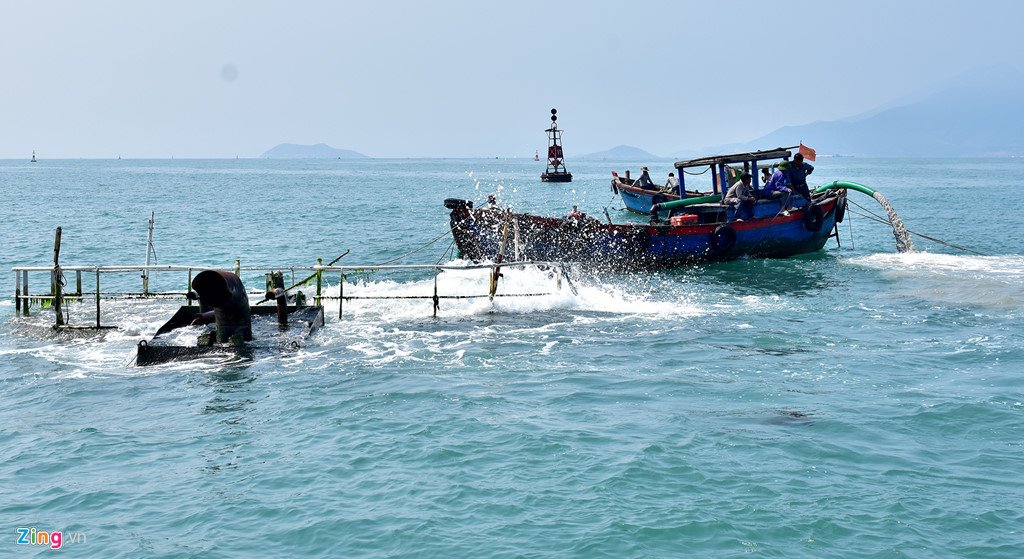 'Xẻ thịt' tàu hàng triệu đô chìm ở biển Quy Nhơn bán phế liệu