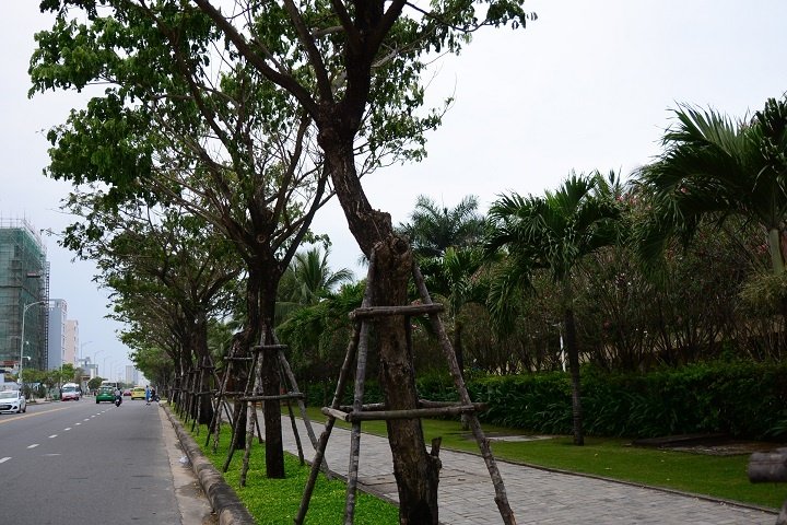 da-nang-dau-chi-co-moi-lang-chai-nam-o-can-mo-loi-xuong-bien