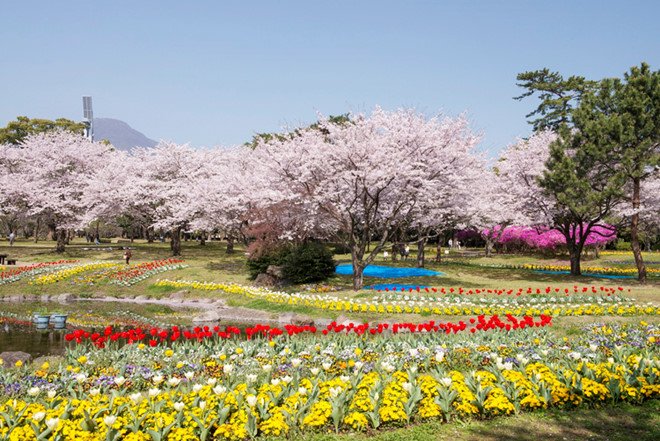 4 sức hút giúp vùng đảo Kyushu đón hàng triệu khách mỗi năm