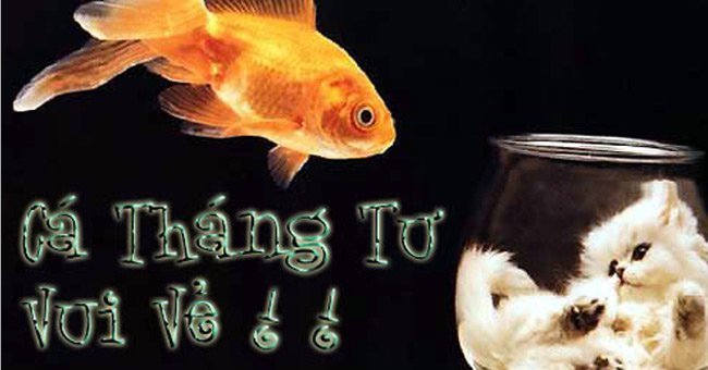 ngay-ca-thang-tu-la-ngay-gi-va-tai-sao-lai-noi-doi-ngay-ca-thang-tu