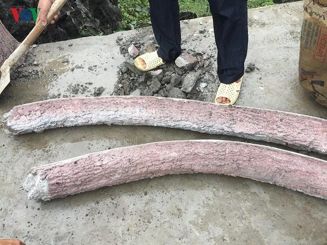 Cận cảnh tháo dỡ công trình 