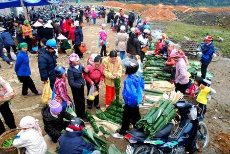 ve-nghe-an-nen-di-dau