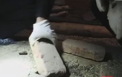 'Bẫy tình' của người đàn bà nghèo khó