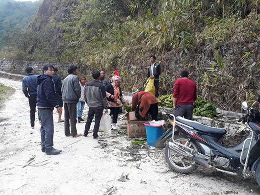 rau-don-la-rau-gi-ma-khien-thuong-lai-trung-quoc-do-xo-mua-vet