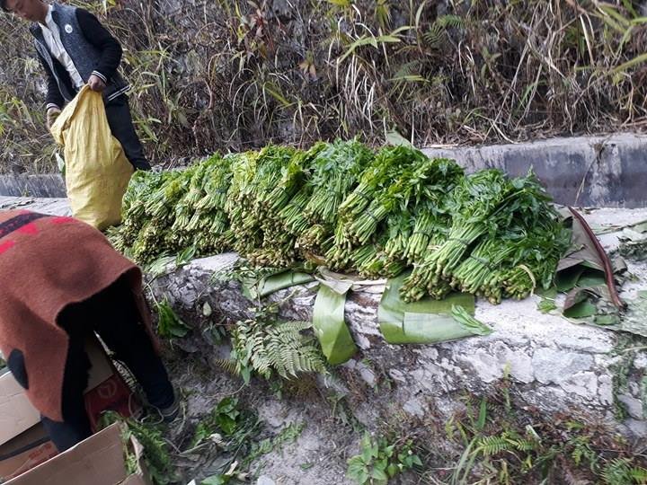rau-don-la-rau-gi-ma-khien-thuong-lai-trung-quoc-do-xo-mua-vet