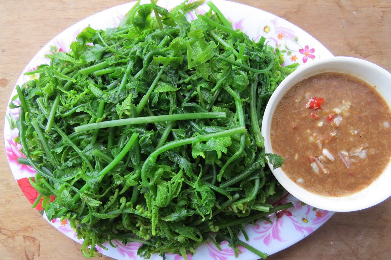 rau-don-la-rau-gi-ma-khien-thuong-lai-trung-quoc-do-xo-mua-vet