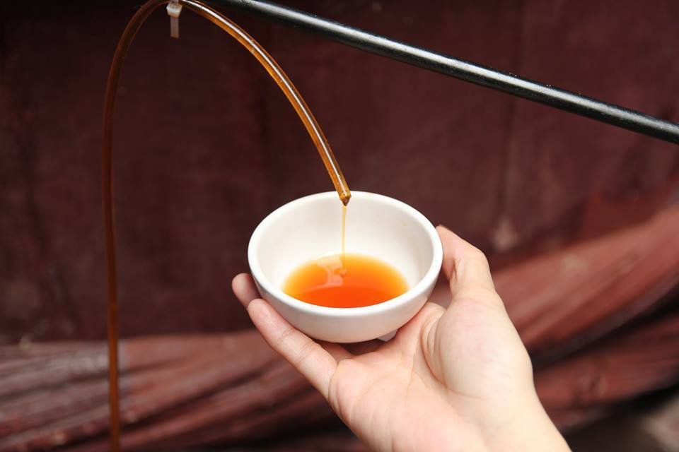 ve-nghe-an-nen-mua-gi-lam-qua