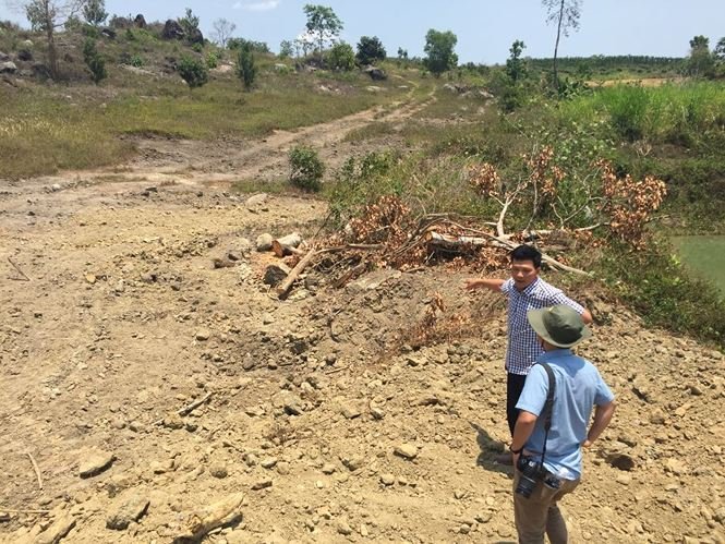 dien-bien-day-bat-ngo-vu-3-cay-sieu-khung-van-chuyen-tren-duong-quoc-lo