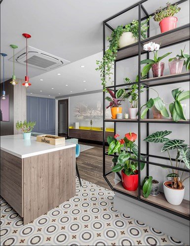 Bất ngờ với ngôi nhà 110m2 đầy màu sắc