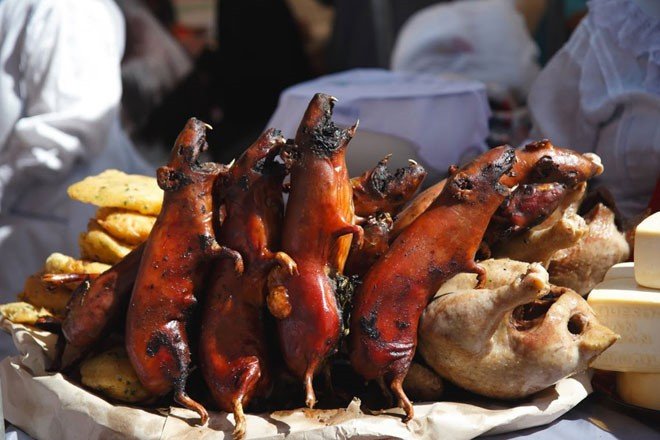 Sâu, gián, mối: những món ăn nghe tên thôi đã phát hoảng nhưng lại là đặc sản ở nhiều nước