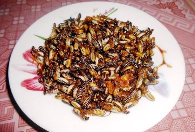 Sâu, gián, mối: những món ăn nghe tên thôi đã phát hoảng nhưng lại là đặc sản ở nhiều nước