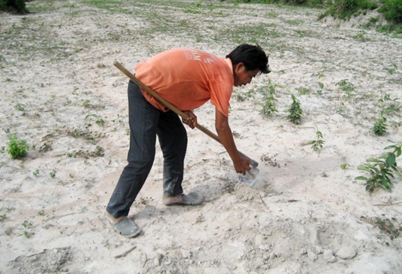 mua-khat-vung-hoang-mac