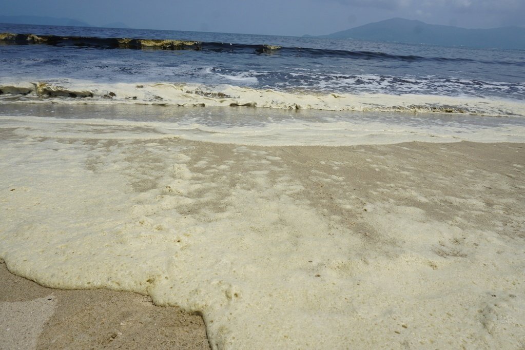 vu-nuoc-bien-nga-sang-mau-den-keo-dai-hon-5km-o-da-nang-nguyen-nhan-do-tao-giap-tripos-furca-no-hoa