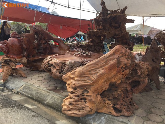 Bộ bàn ghế gỗ lũa hàng khủng giá tiền tỷ không bán
