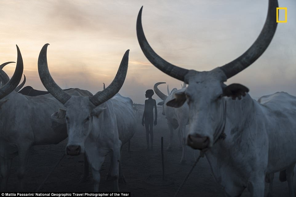 he-lo-nhung-buc-anh-tuyet-dep-tranh-giai-thuong-anh-du-lich-cua-national-geographic-2018