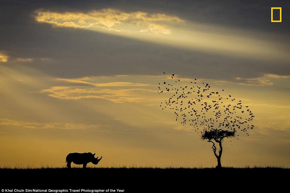 he-lo-nhung-buc-anh-tuyet-dep-tranh-giai-thuong-anh-du-lich-cua-national-geographic-2018