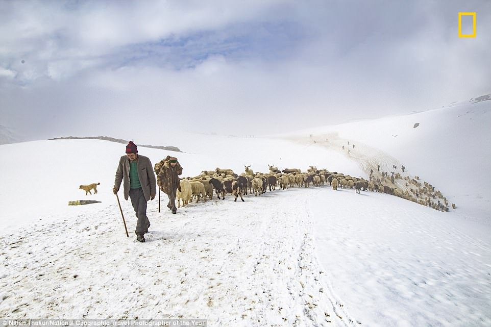 he-lo-nhung-buc-anh-tuyet-dep-tranh-giai-thuong-anh-du-lich-cua-national-geographic-2018