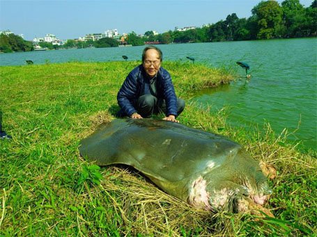 phan-ung-bat-ngo-cua-nha-rua-hoc-ve-tin-phat-hien-rua-ho-guom-o-son-tay