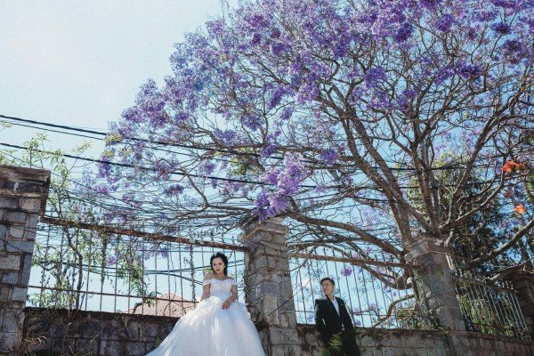 Bộ ảnh cưới lãng mạn của cặp đôi 