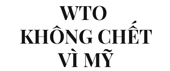 Chiến tranh thương mại và cái chết của WTO hình ảnh 3 Chiến tranh thương mại và cái chết của WTO