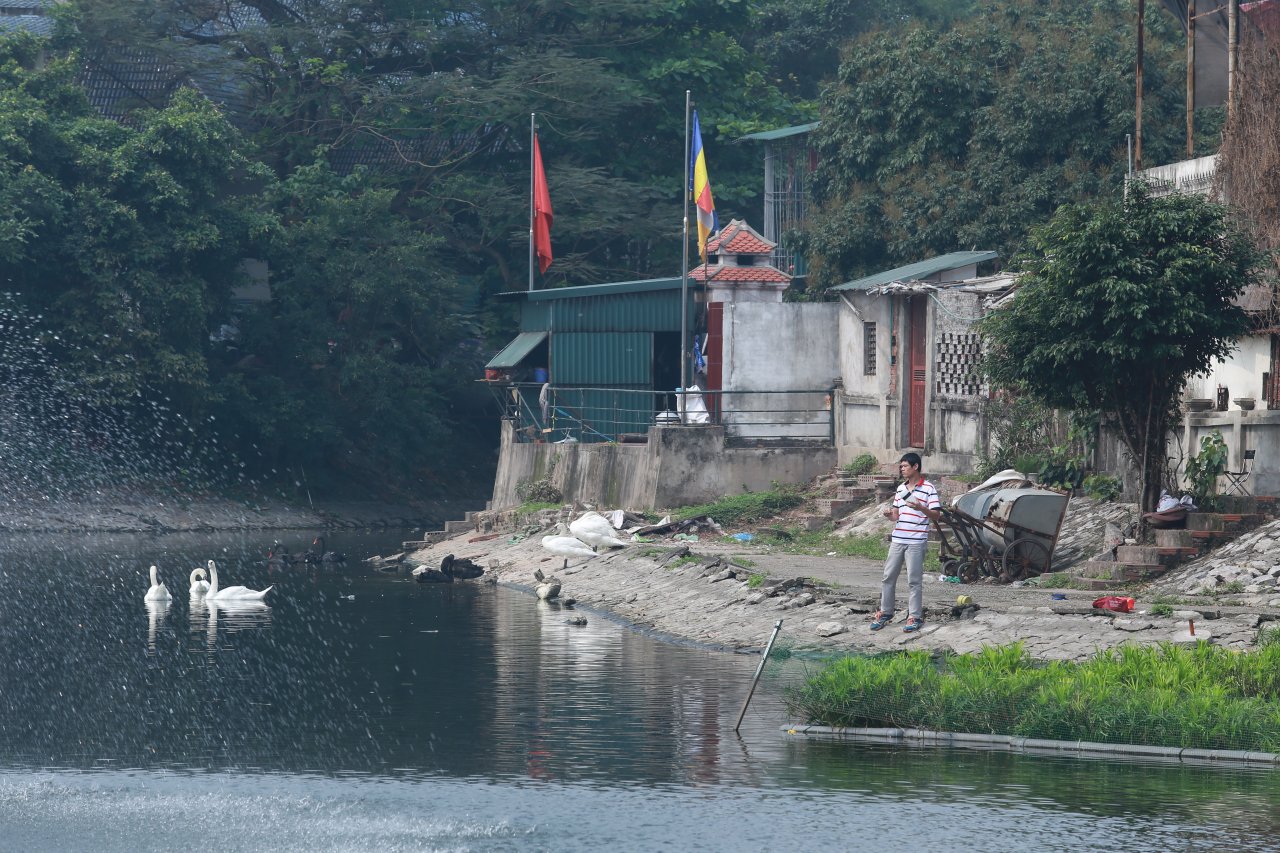 cau-ca-thien-quang