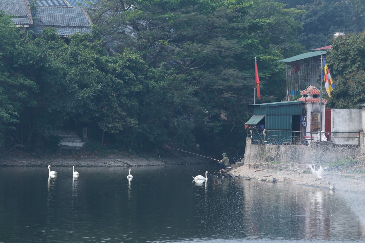 cau-ca-thien-quang
