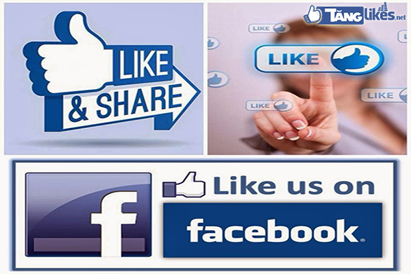 reach-la-gi-va-reach-facebook-co-tac-dung-gi