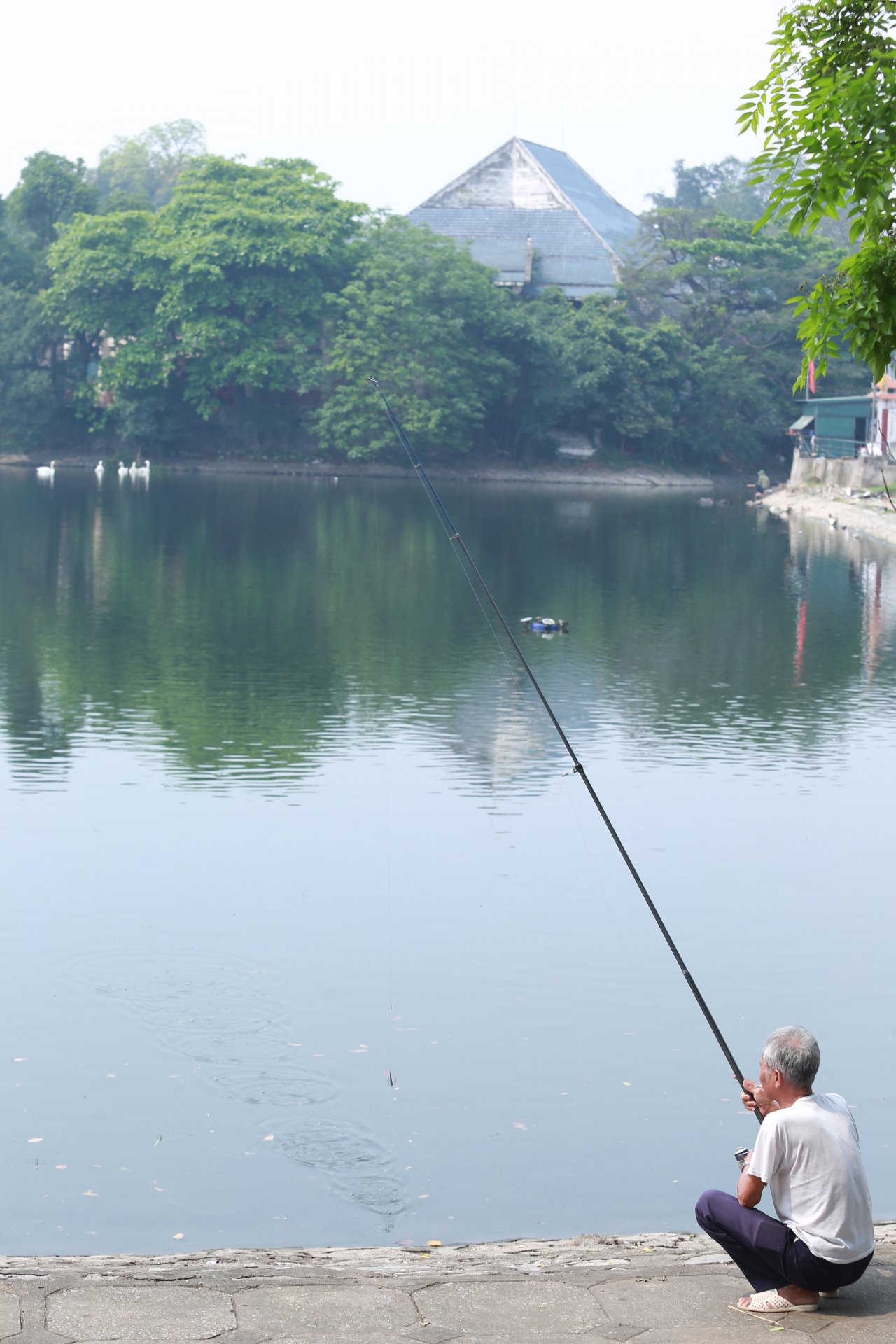 luoi-cau-3-tieu-bua-vay-ho-thien-nga-duy-nhat-tai-ha-noi